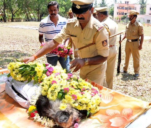 Floral tribute A senior police officer lays a floral wreath on SONY a member of the dog squad of crime branch Chikamagalore who died on Friday.  
