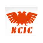 BCIC