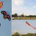 kite flying in Mysore dasara October 2013