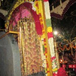 sowthada temple annual Moodappa seve. eNarada Pic